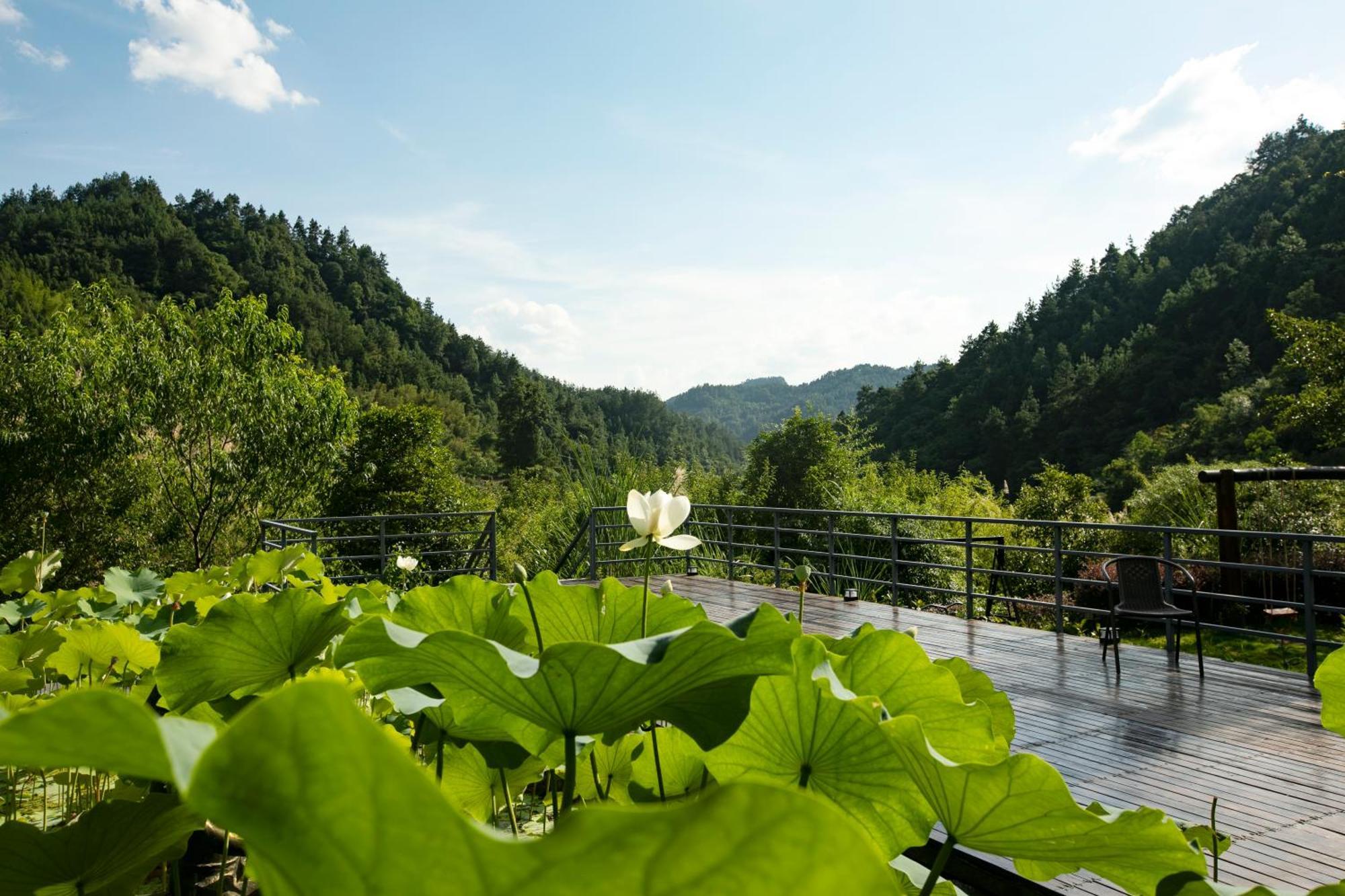 Homeward Mountain Resort Zhangjiajie Buitenkant foto