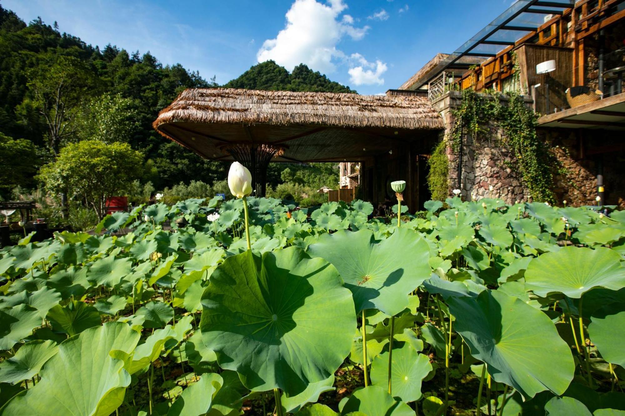 Homeward Mountain Resort Zhangjiajie Buitenkant foto